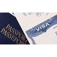 VISA TO EDUCATIONAL PRACTICE OR TRAINING